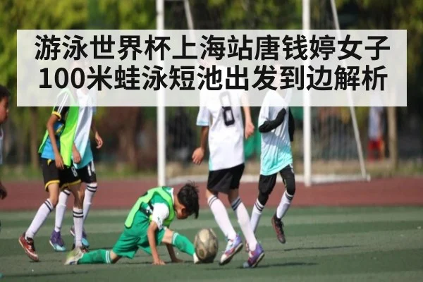 游泳世界杯上海站唐钱婷女子100米蛙泳短池出发到边解析