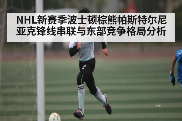 NHL新赛季波士顿棕熊帕斯特尔尼亚克锋线串联与东部竞争格局分析