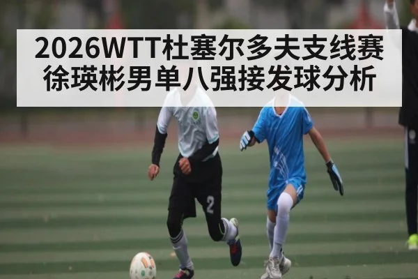 2026WTT杜塞尔多夫支线赛徐瑛彬男单八强接发球分析